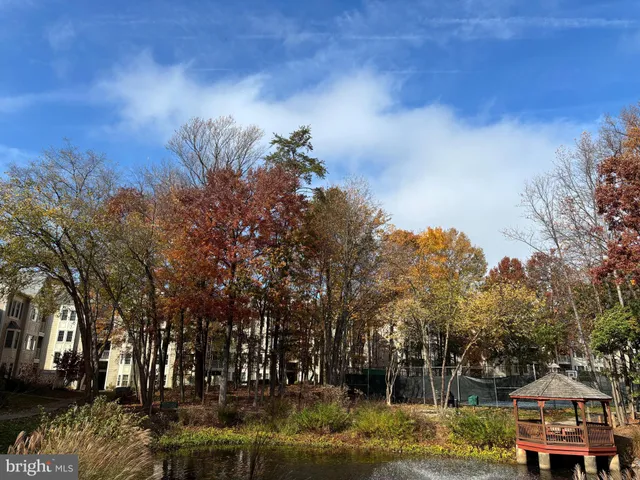 a view of a town with trees