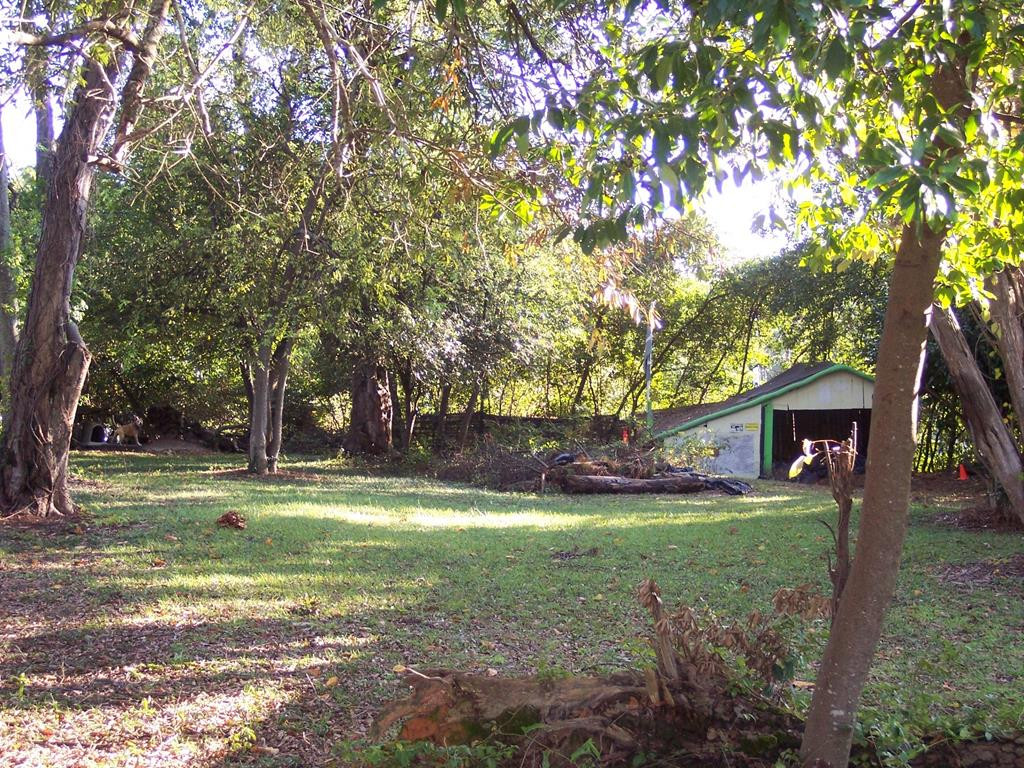 548 Boy Scout Road Augusta, GA 30909 - Photo 4 of 4