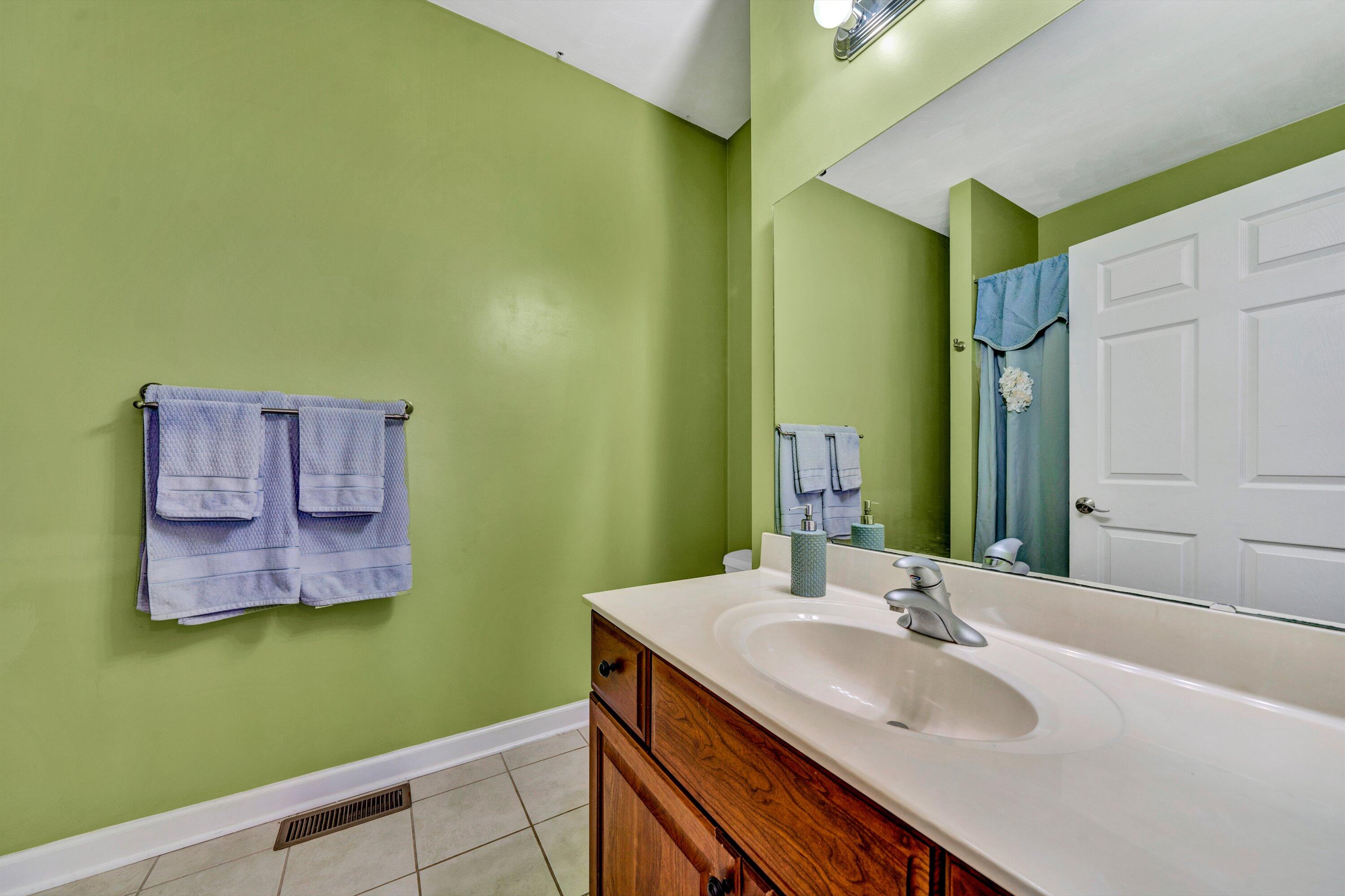 1170 Loggers Road Goodview, VA 24095 - Photo 36 of 55 a bathroom with a sink and a mirror