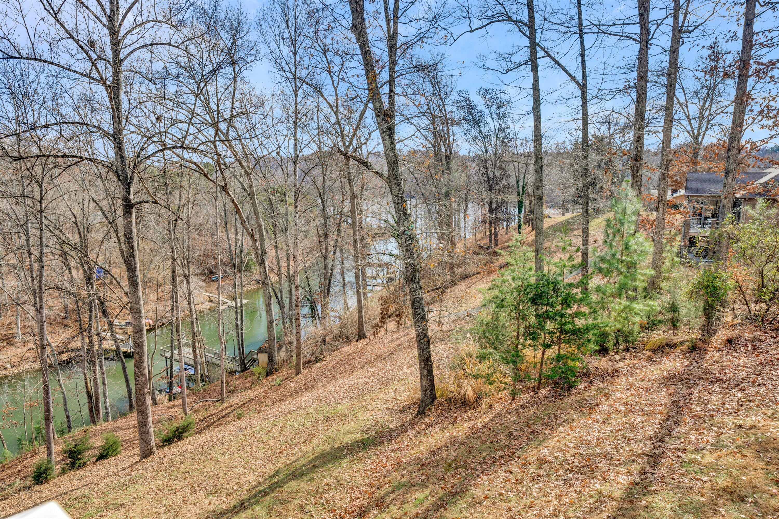 1170 Loggers Road Goodview, VA 24095 - Photo 46 of 55 a view of a forest filled with trees