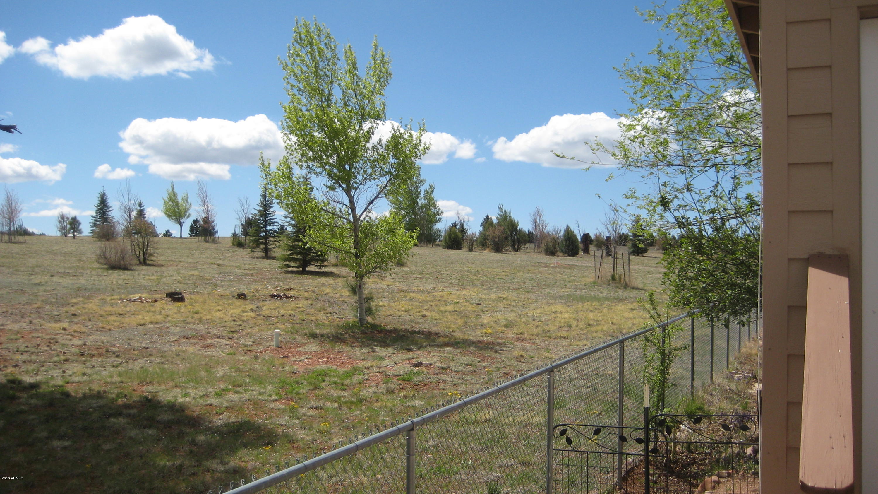 2727 Whiskey Road Overgaard, AZ 85933 - Photo 18 of 22 IMG_6058