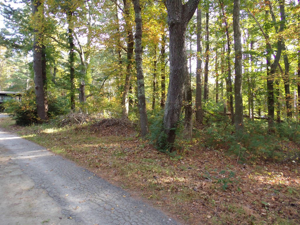 251 Mendall Road Acushnet, MA 02743 - Photo 4 of 4