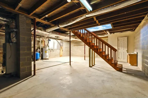 a view of a yard with two plants