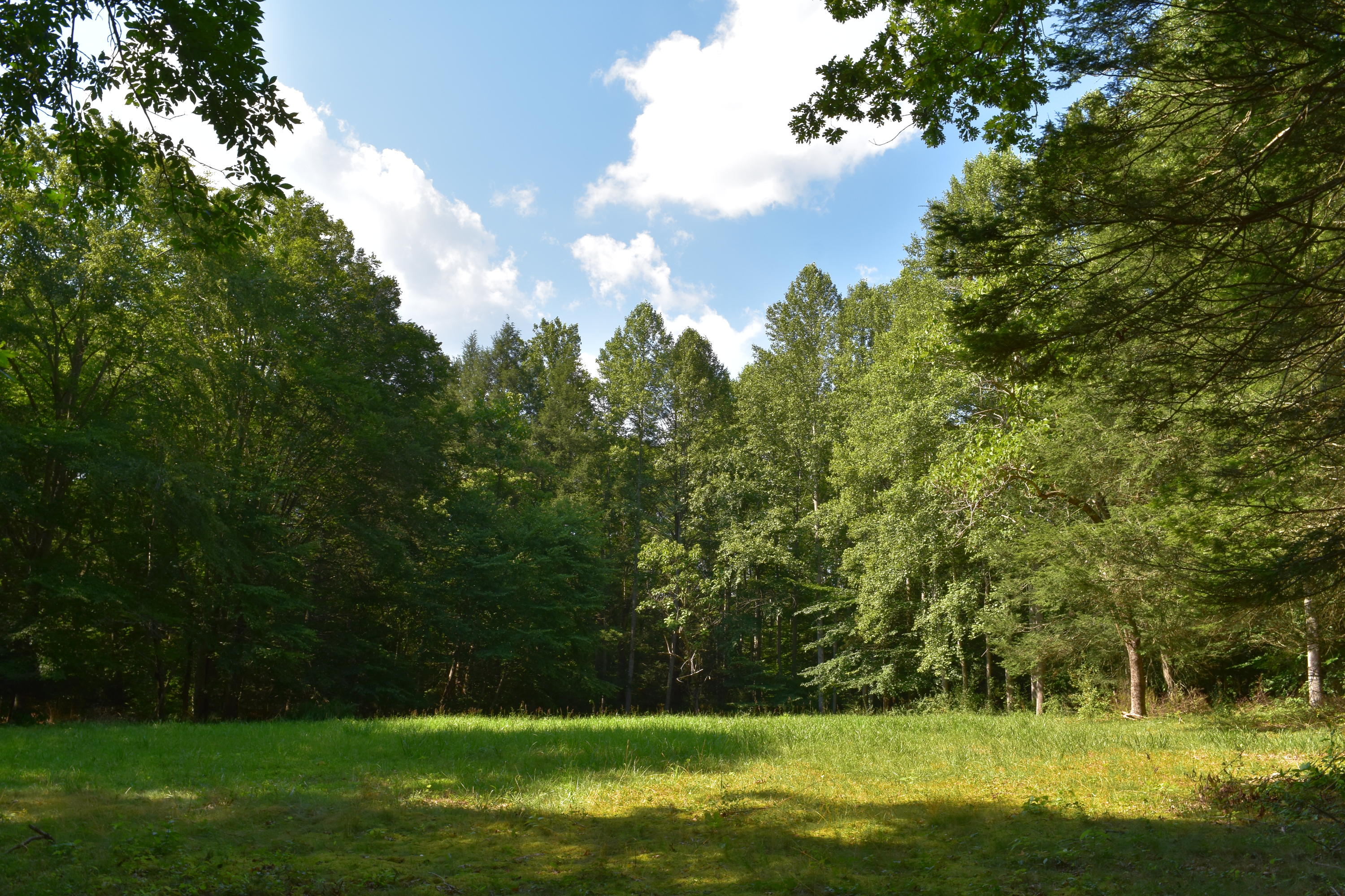 1127 Bacon Falls Road Talcott, WV 24981 - Photo 5 of 66 Gallery Image 5