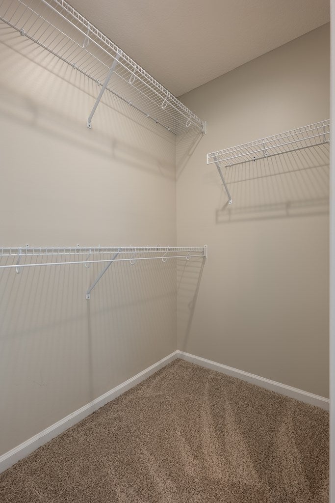 259 Trail Of Hawk Road Quitman, GA 31643 - Photo 19 of 31 Gallery Image 19