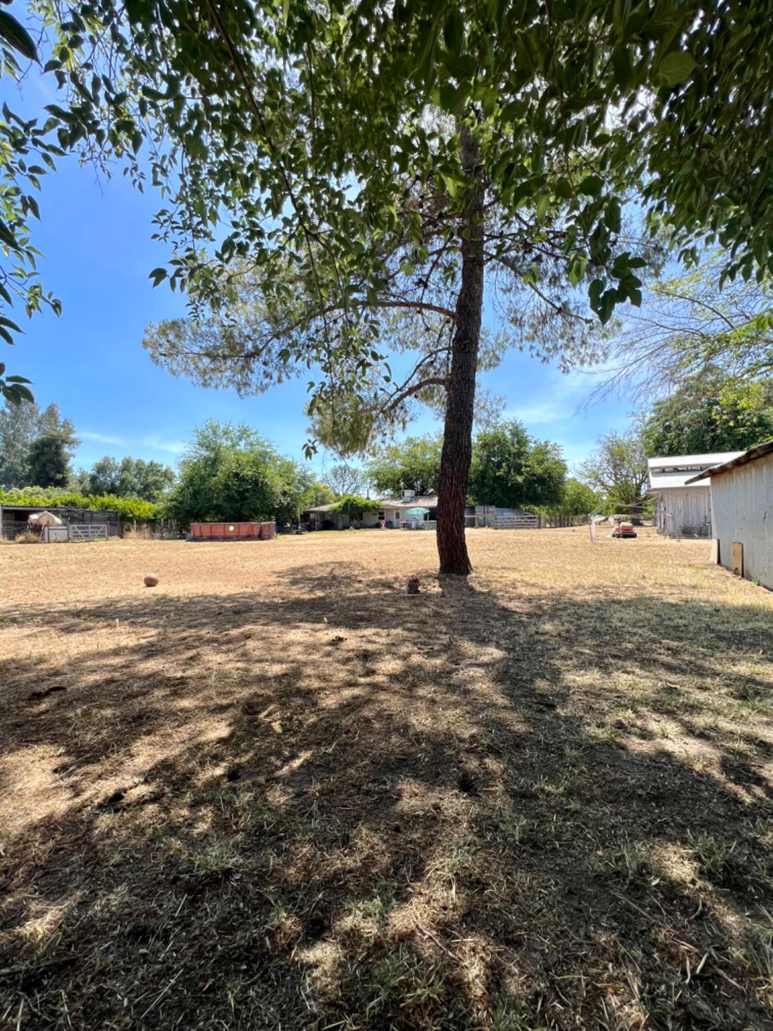 2366 Tivy Valley Road Sanger, CA 93657 - Photo 19 of 42 Gallery Image 19