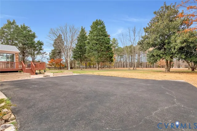 a street view with large trees