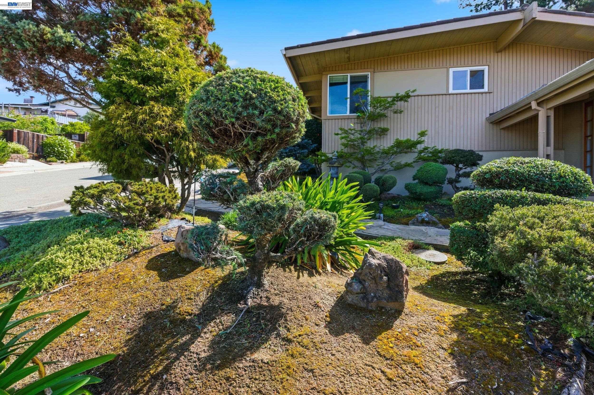 18602 Center Street Castro Valley, CA 94546 - Photo 3 of 50