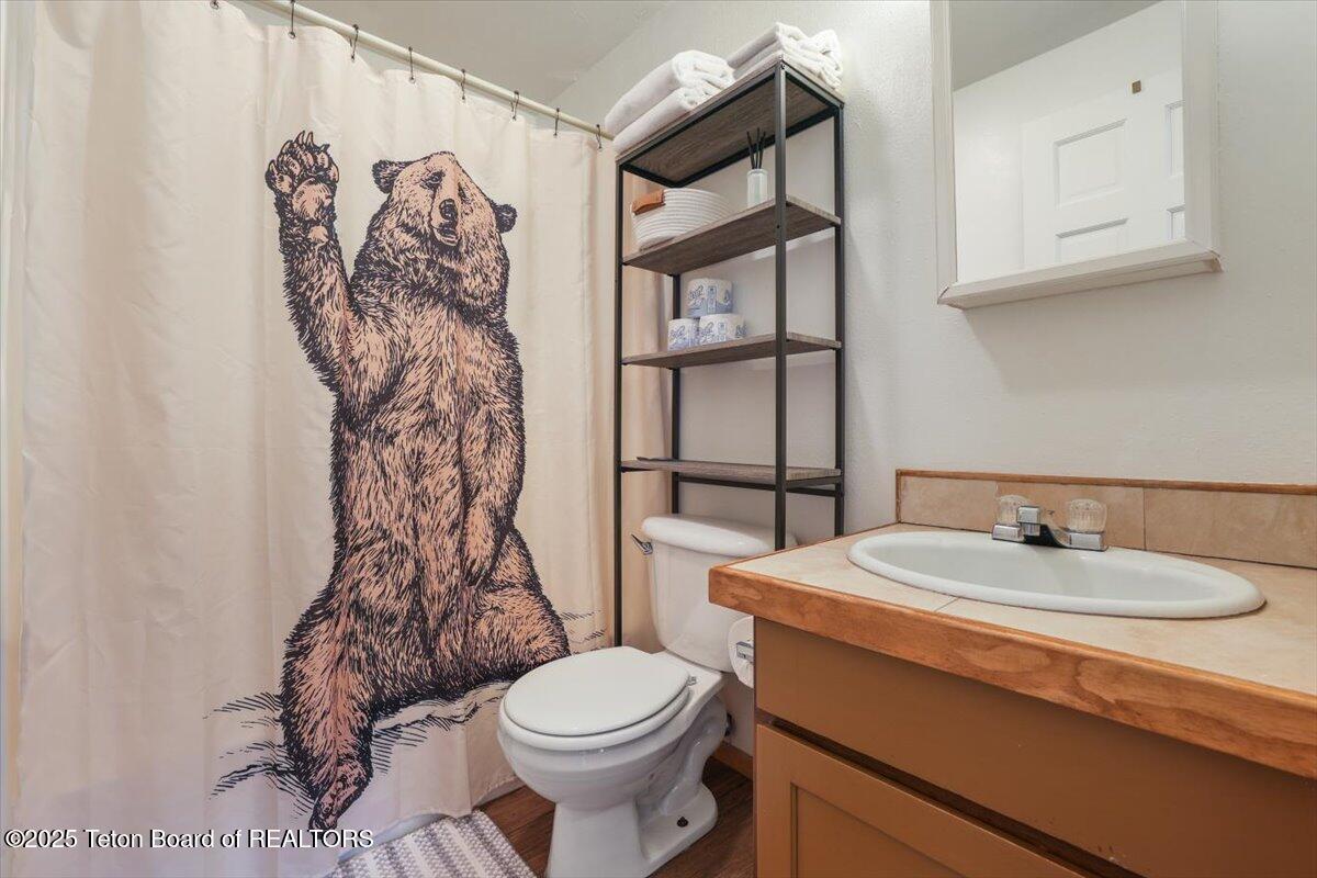 935 Smith Lane, Unit C Jackson, WY 83001 - Photo 9 of 13 Bathroom