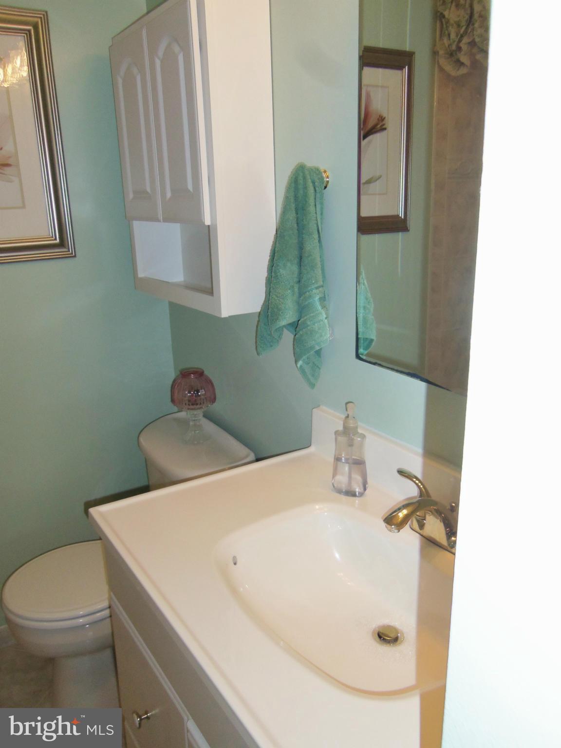 3724 Briars Road Olney, MD 20832 - Photo 19 of 30 Bath (Master)