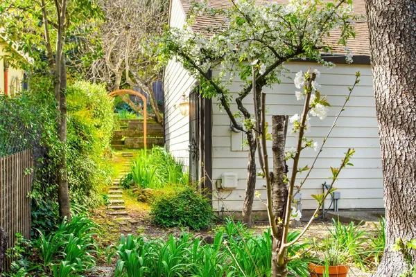 a view of a yard in front of house