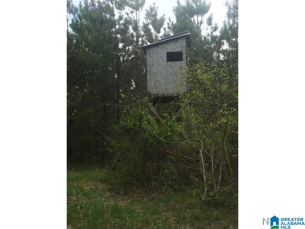 0 Bear Creek Road Haleyville, AL 35565 - Photo 3 of 13