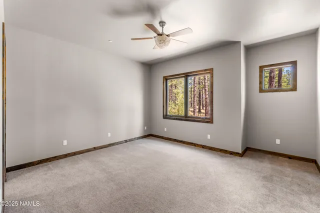 a view of a park with large trees