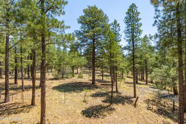 an empty room with wooden floor fireplace and windows