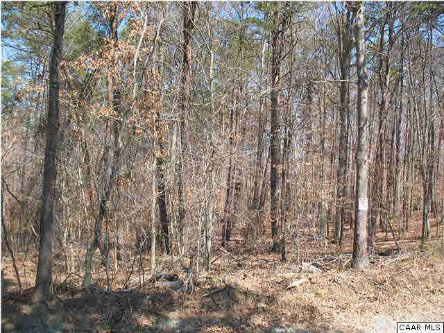 Mossing Ford Road Charlottesville, VA 22911 - Photo 4 of 5 Road frontage allows you easy access to this picturesque land.