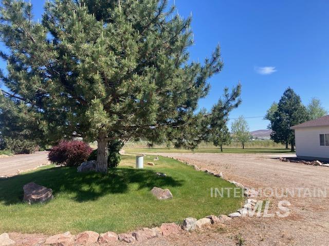 1095 County Road 70 Weiser, ID 83672 - Photo 39 of 44 Expansive gravel driveway featuring a mature evergreen tree, manicured lawn, decorative rock landscaping, and a distant mountain backdrop