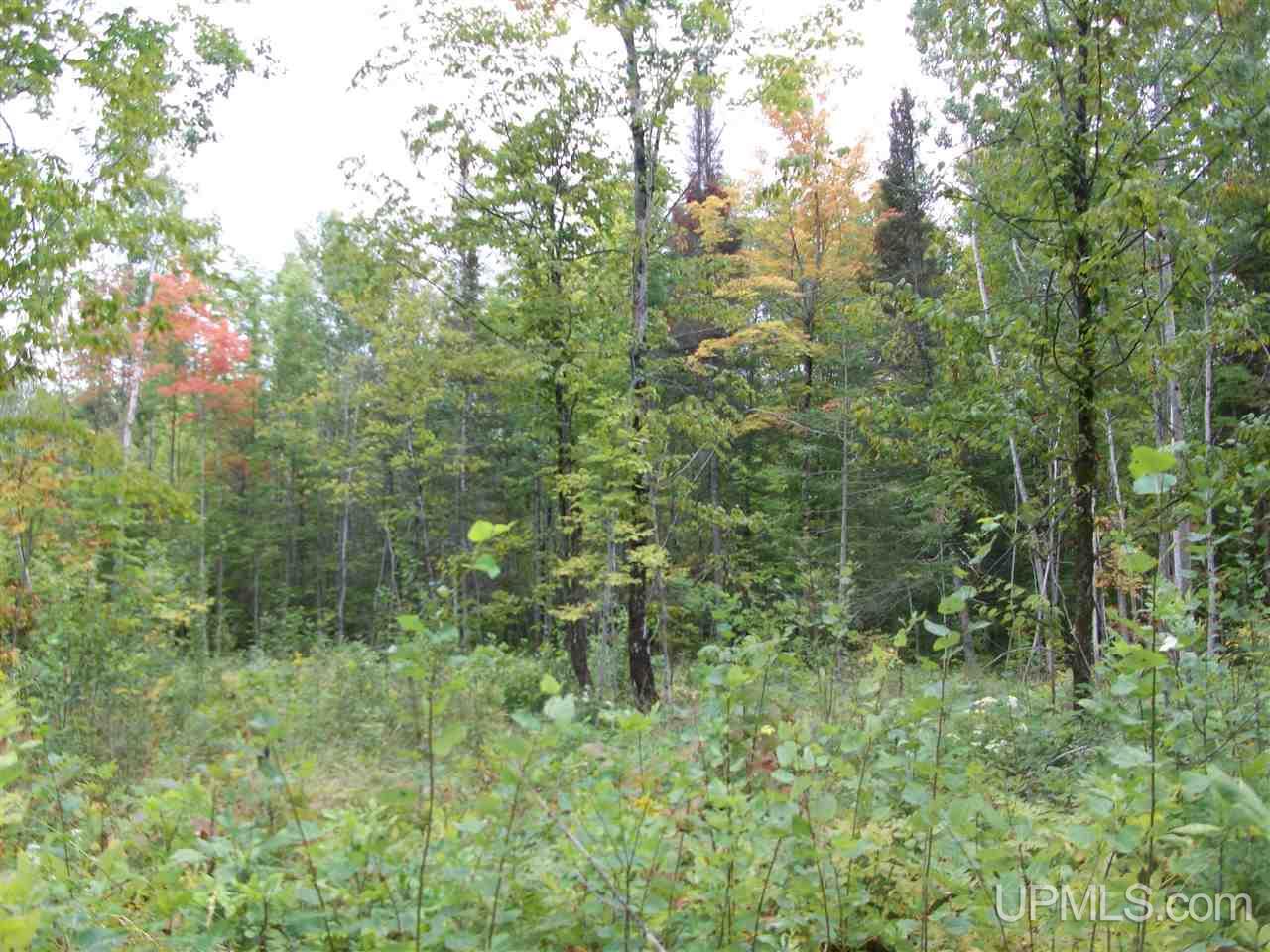 Tbd Fordville Road Foster City, MI 49807 - Photo 14 of 18