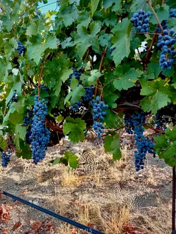 $6,350,000 | 5558 Hoback Glen Road, Hidden Hills, CA 91302