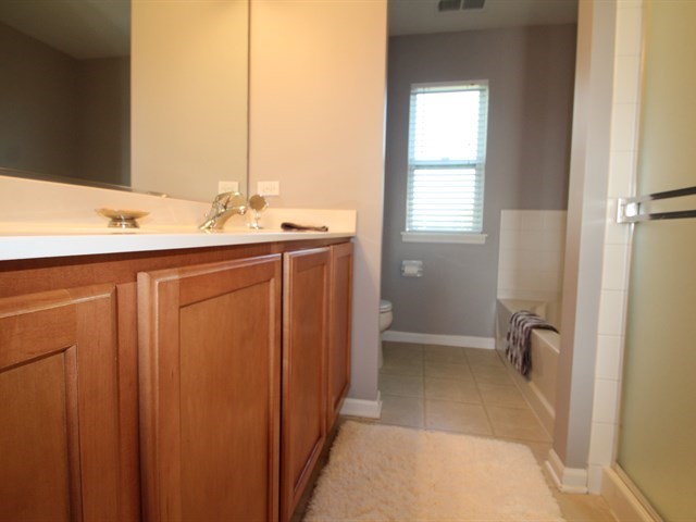 481 Windett Ridge Road Yorkville, IL 60560 - Photo 19 of 32