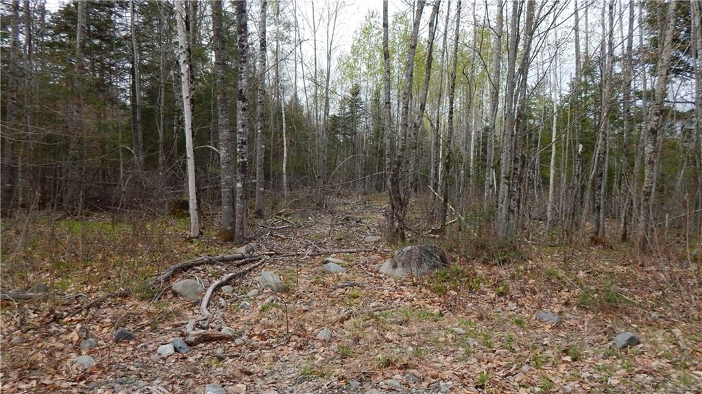 0 Red Farm Road Milo, ME 04463 - Photo 24 of 26 Photo