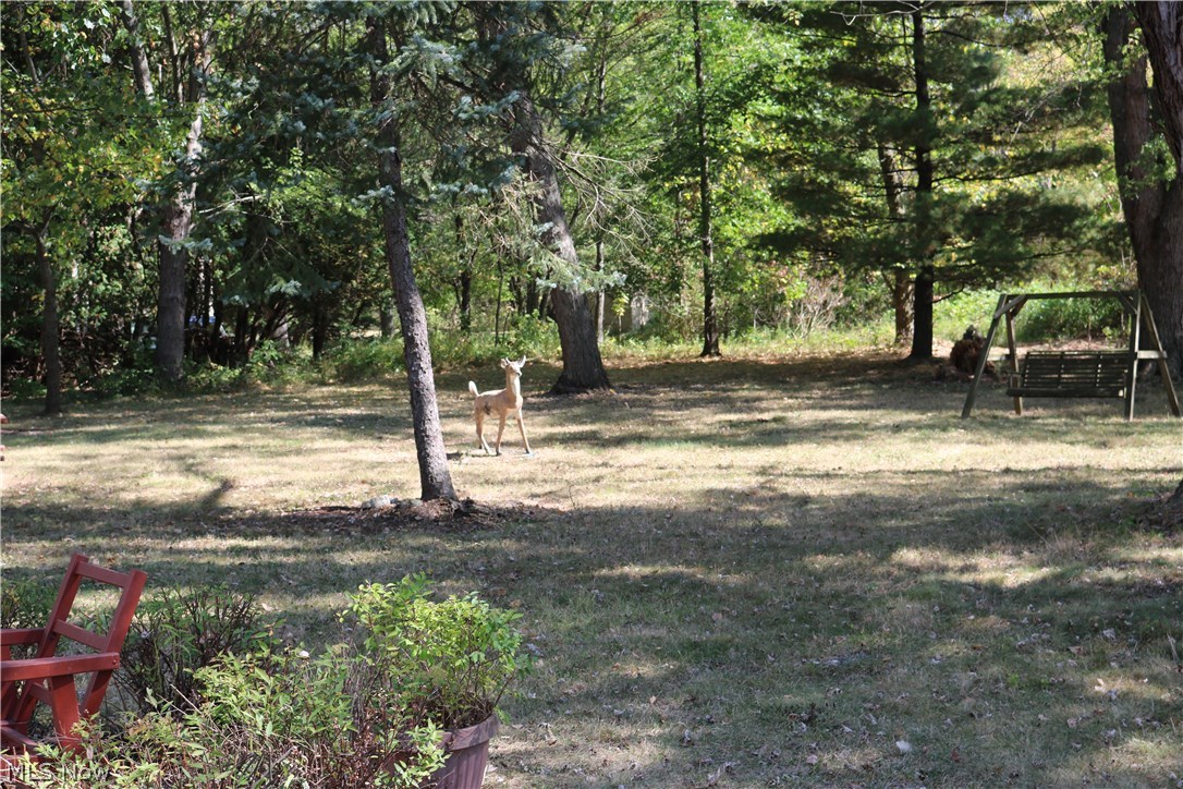 13525 Webster Road Strongsville, OH 44136 - Photo 20 of 32 Gallery Image 20