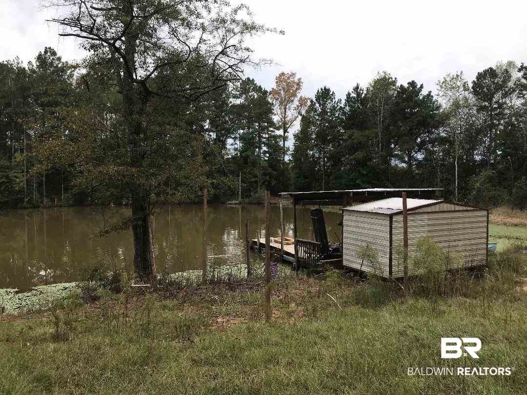 468 County Road 43 Evergreen, AL 36401 - Photo 11 of 13