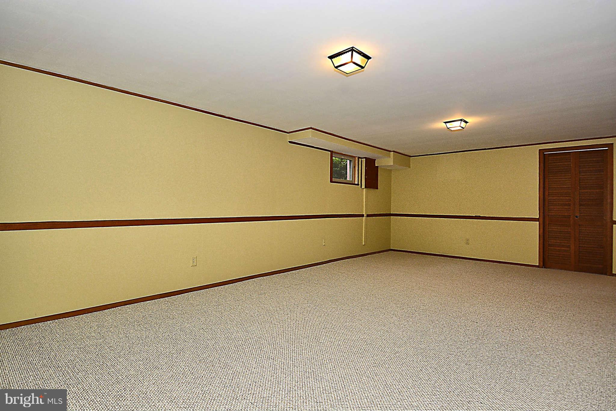 10510 Procter Street Silver Spring, MD 20901 - Photo 18 of 30 Recreation Room