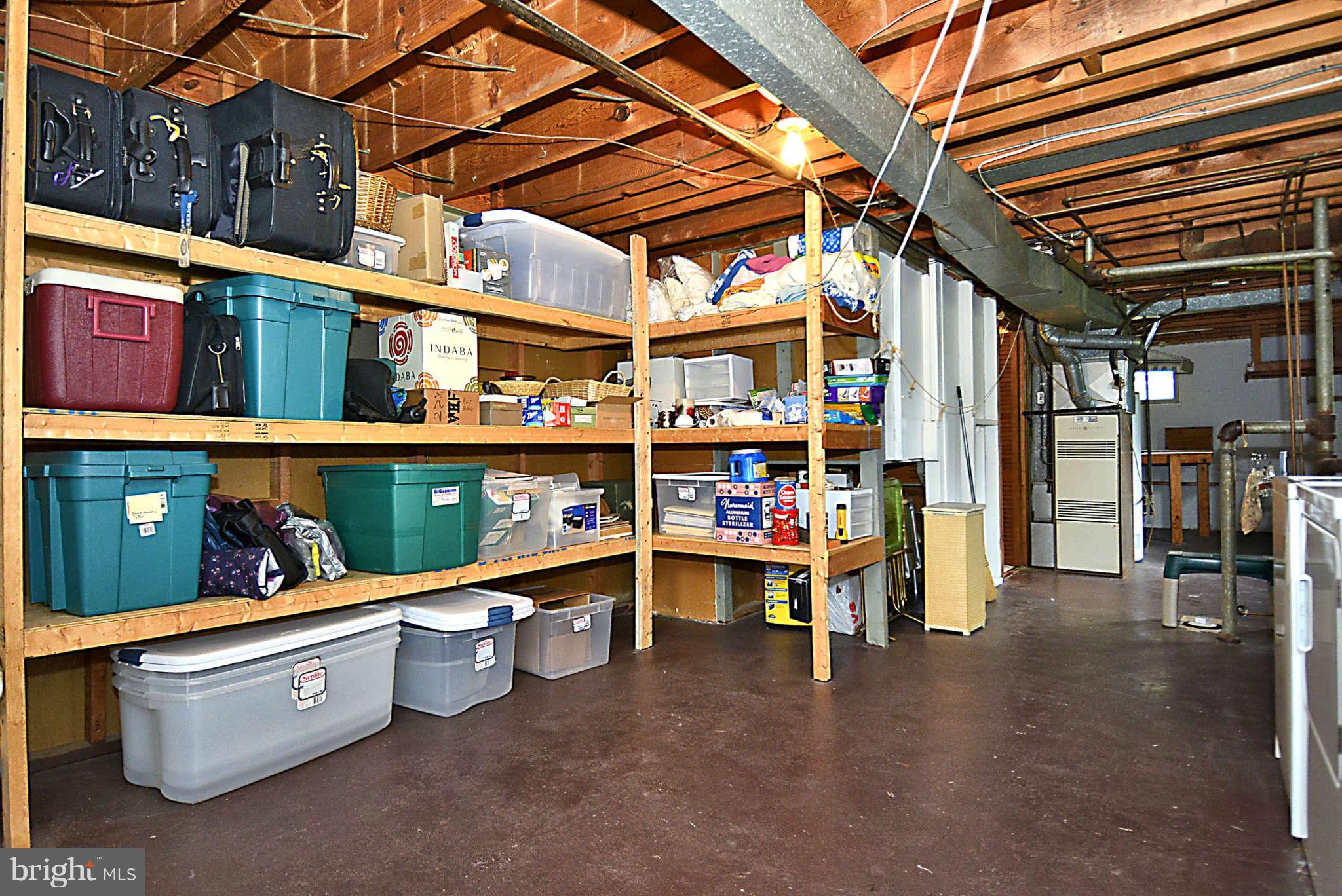 10510 Procter Street Silver Spring, MD 20901 - Photo 19 of 30 Basement Storage