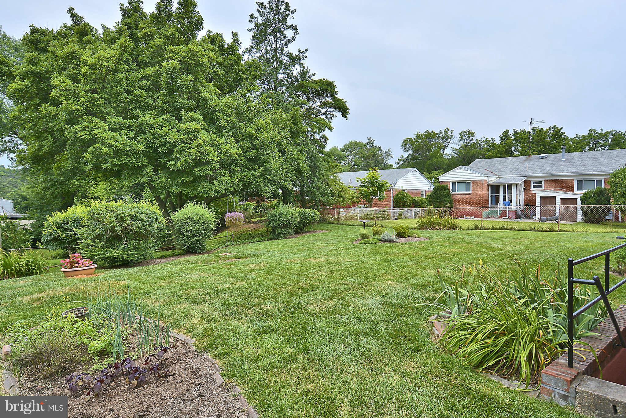10510 Procter Street Silver Spring, MD 20901 - Photo 23 of 30 Back Yard