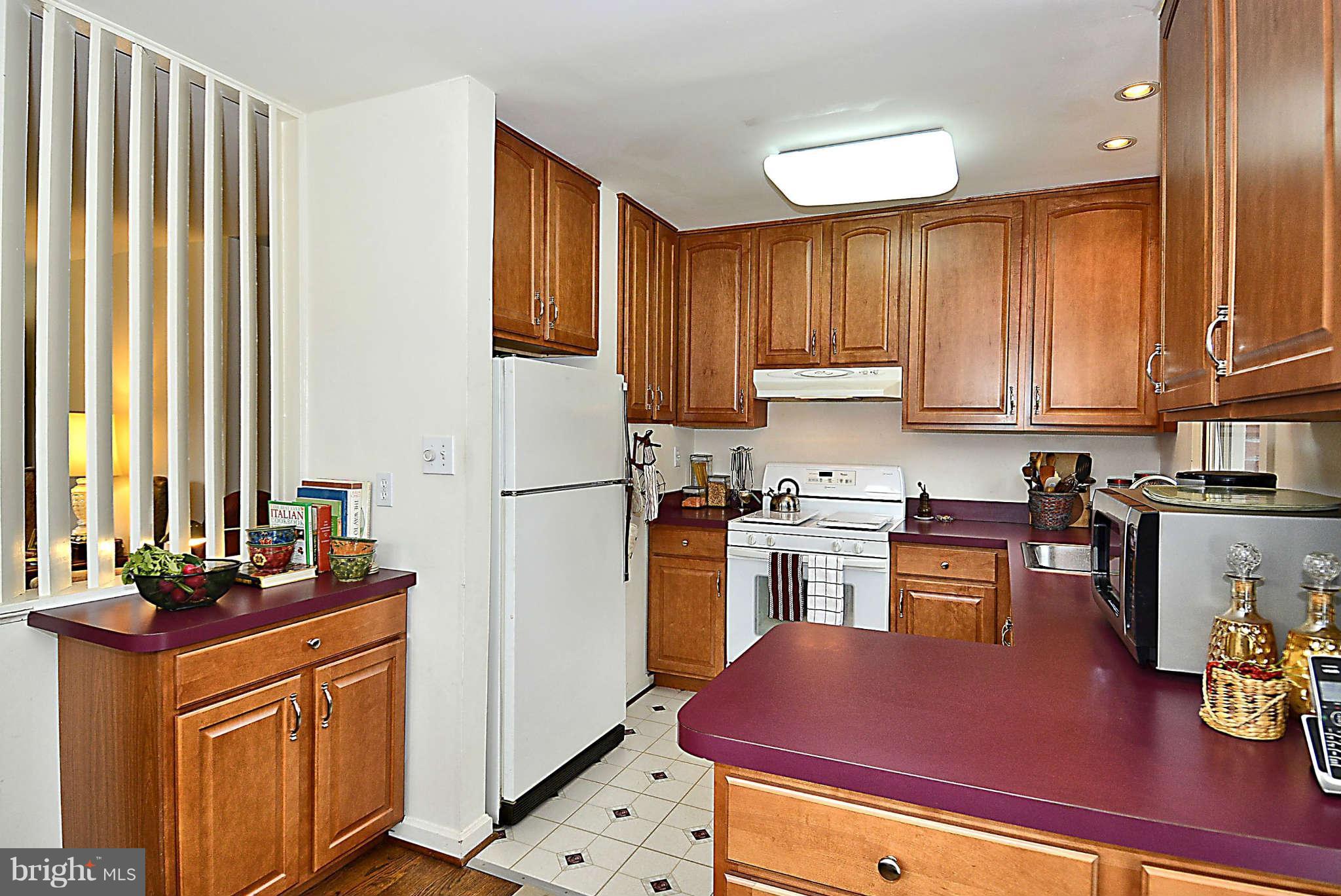 10510 Procter Street Silver Spring, MD 20901 - Photo 8 of 30 Kitchen