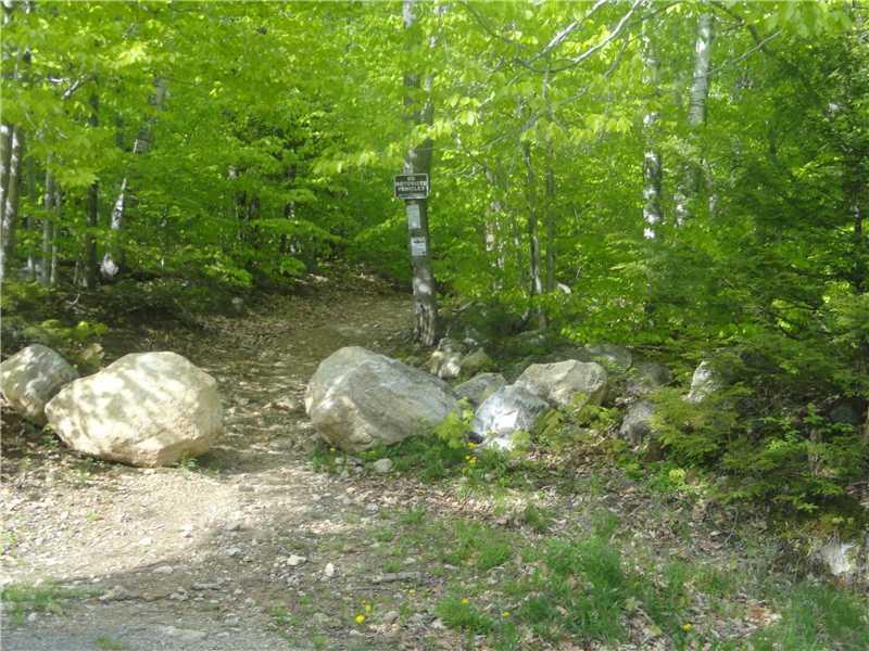 Lot #1 Saunders&redding Road Bryant Pond, ME 04219 - Photo 5 of 10 Other. Lower portion of the land on...