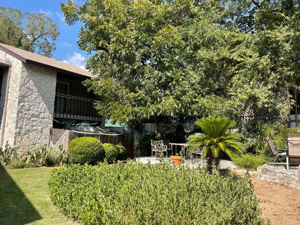 2410 Enfield Road, Unit 5 Austin, TX 78703 - Photo 4 of 17 a backyard of a house with lots of green space