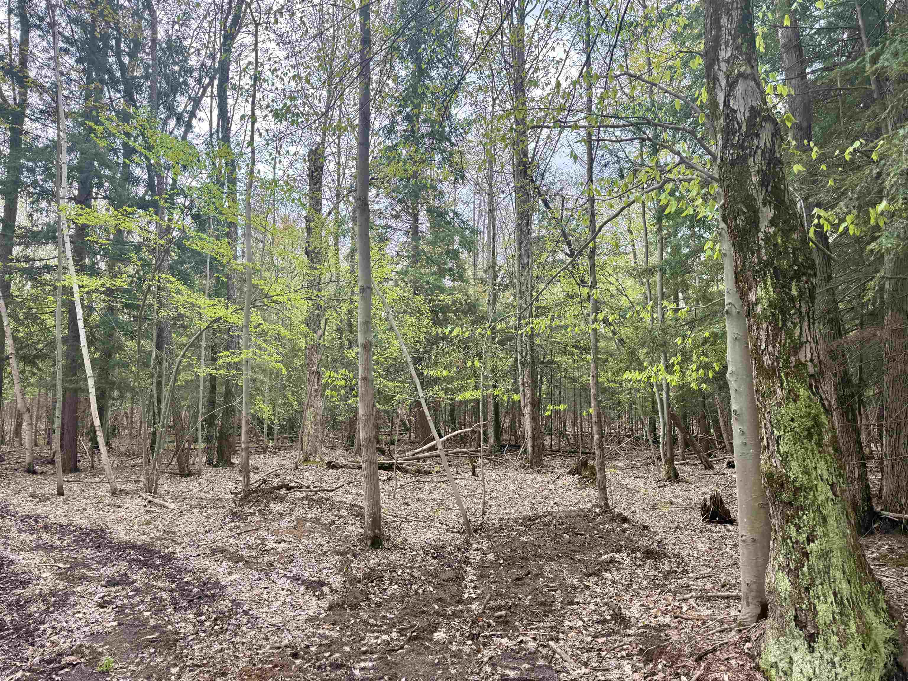 6639 Fall Road Grawn, MI 49637 - Photo 17 of 24