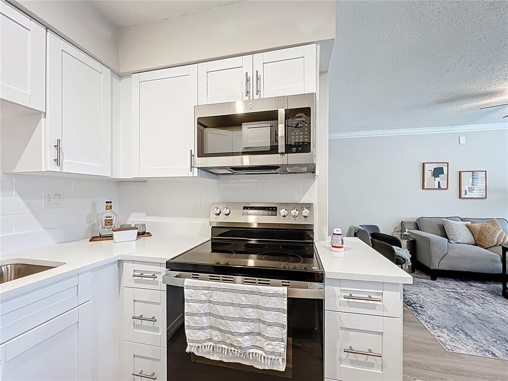 250 Rosery Road Northwest, Unit 202 Largo, FL 33770 - Photo 8 of 20