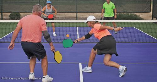 29 Stag Court New Castle, CO 81647 - Photo 18 of 18 Paul N -4