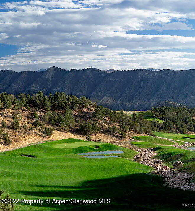 29 Stag Court New Castle, CO 81647 - Photo 3 of 18 Paul N-2