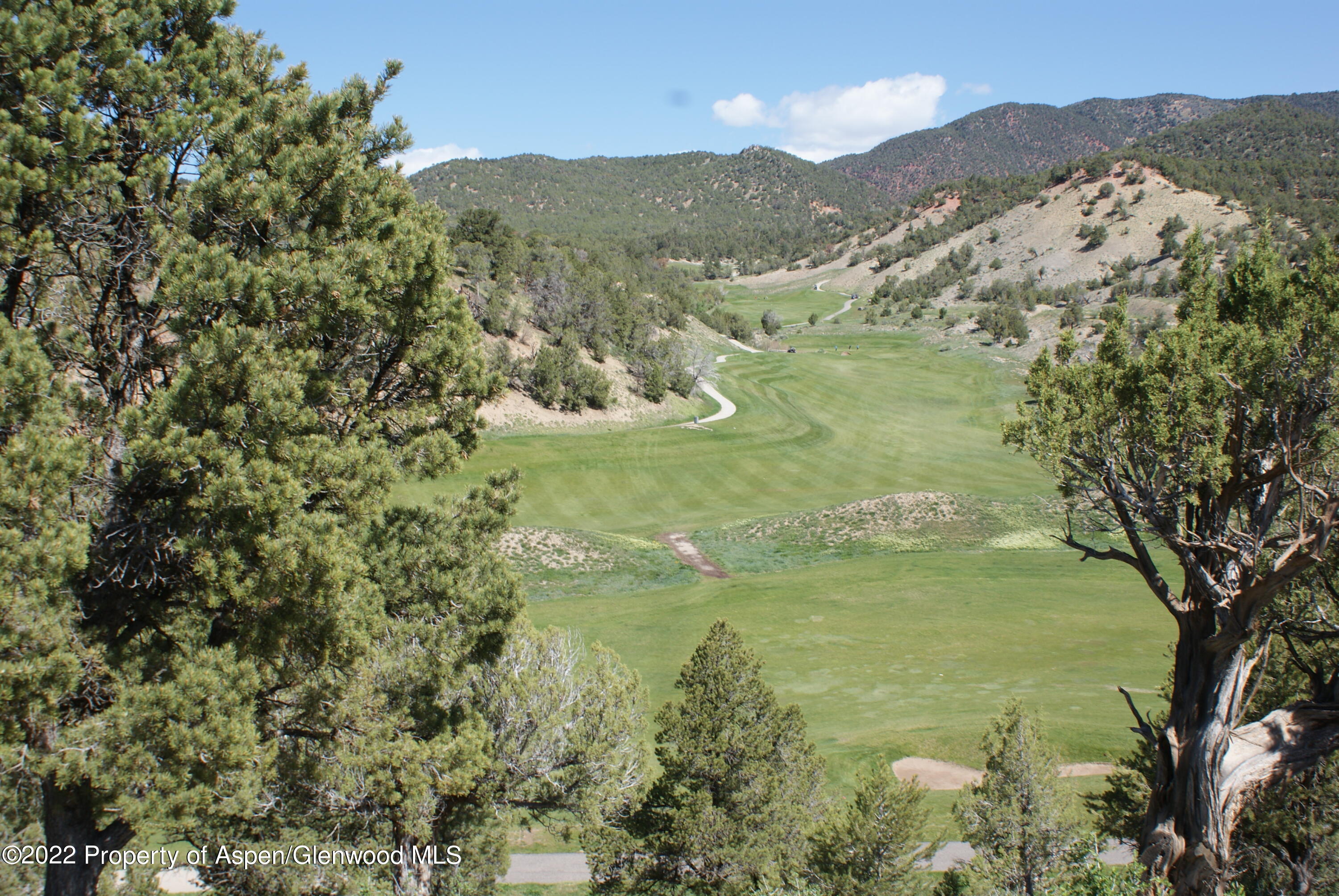 29 Stag Court New Castle, CO 81647 - Photo 6 of 18 DSC07109