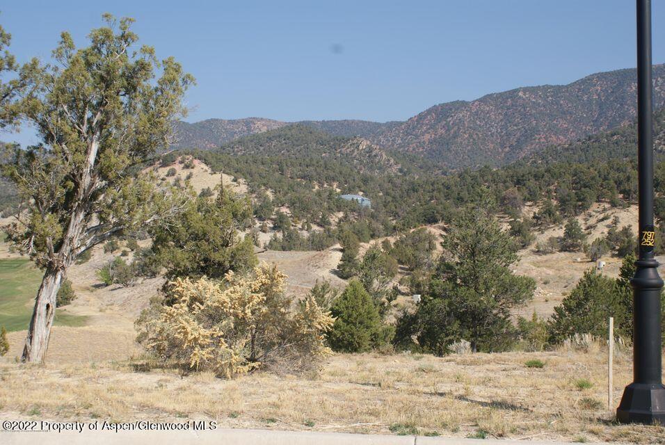 29 Stag Court New Castle, CO 81647 - Photo 9 of 18 PN-1