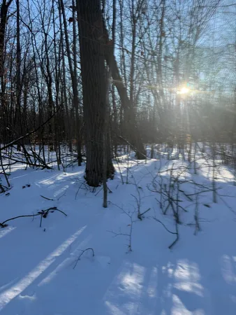 $4,500 | Undisclosed Address, Reed City, MI 49677