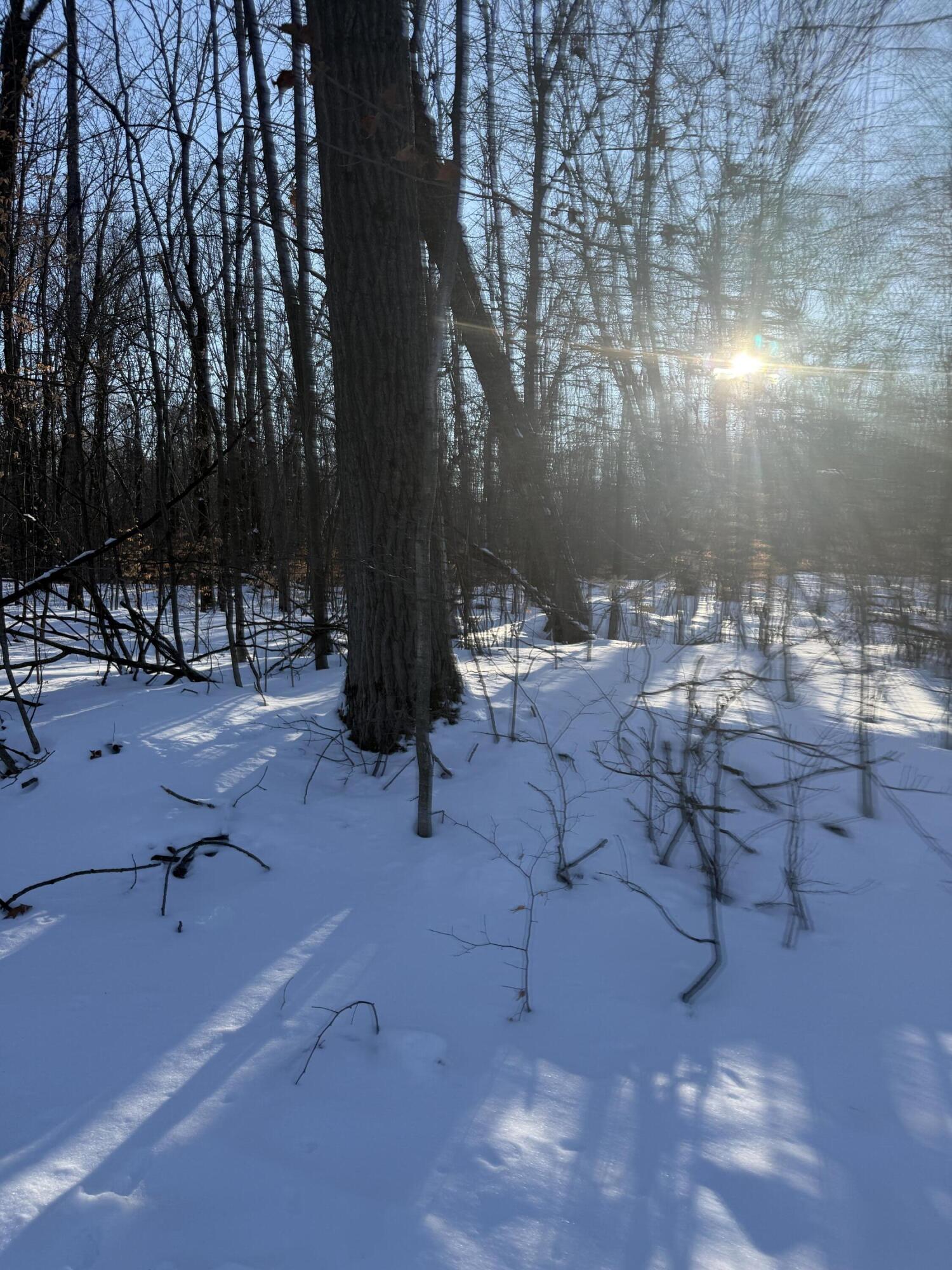 Undisclosed Address Reed City, MI 49677 - Photo 2 of 6 IMG_2978