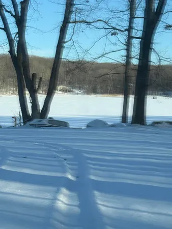 $4,500 | Undisclosed Address, Reed City, MI 49677