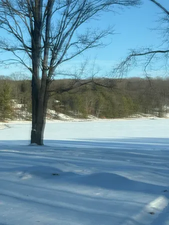 $4,500 | Undisclosed Address, Reed City, MI 49677