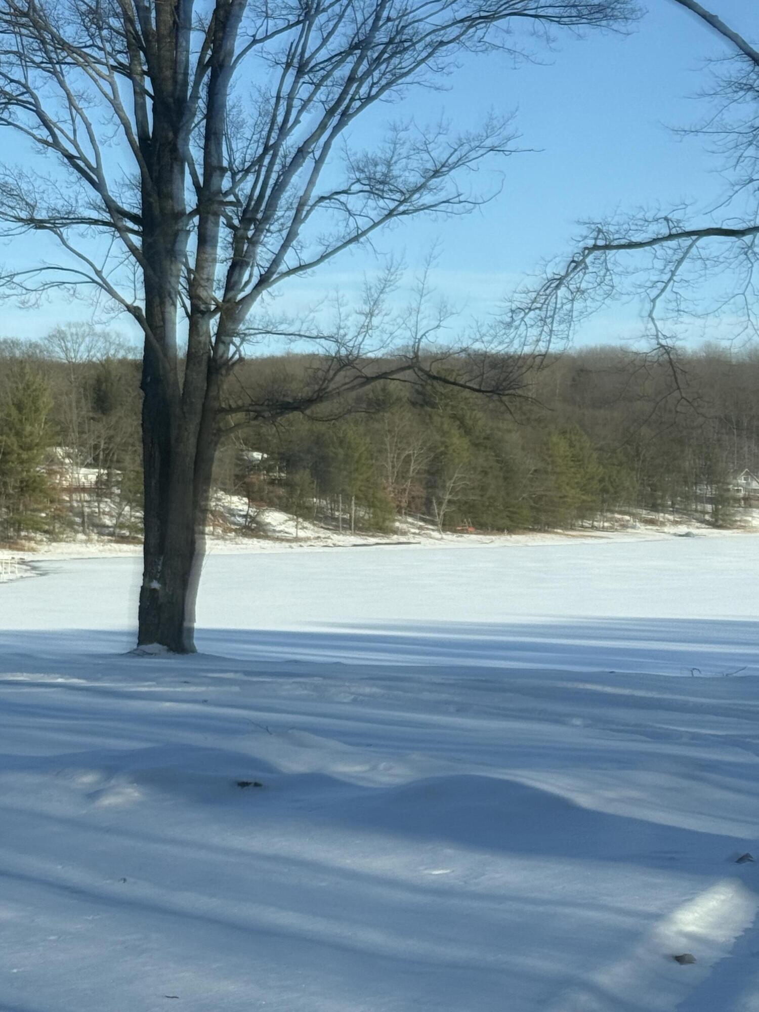 Undisclosed Address Reed City, MI 49677 - Photo 4 of 6 IMG_2981