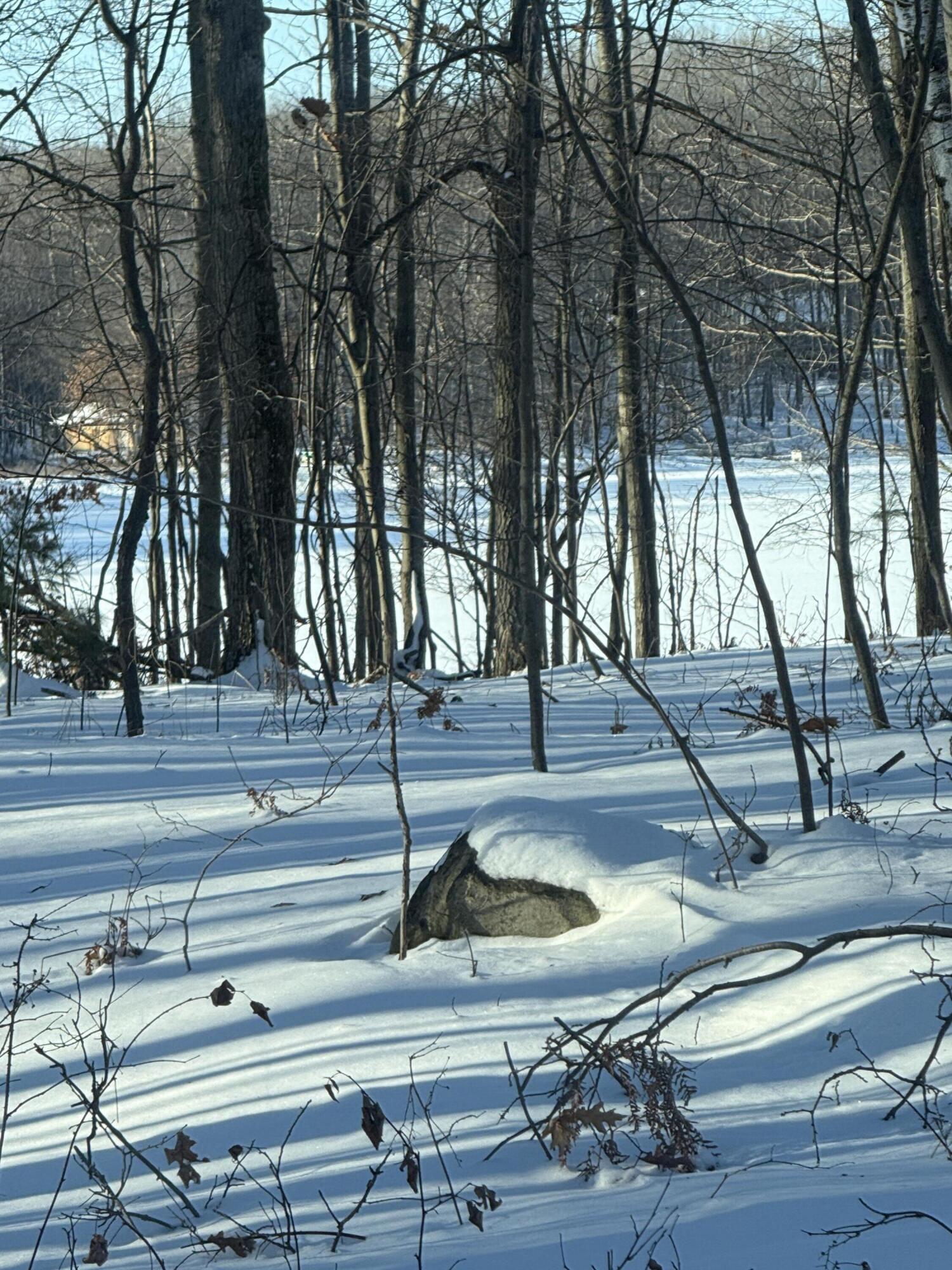 Undisclosed Address Reed City, MI 49677 - Photo 5 of 6 IMG_2982