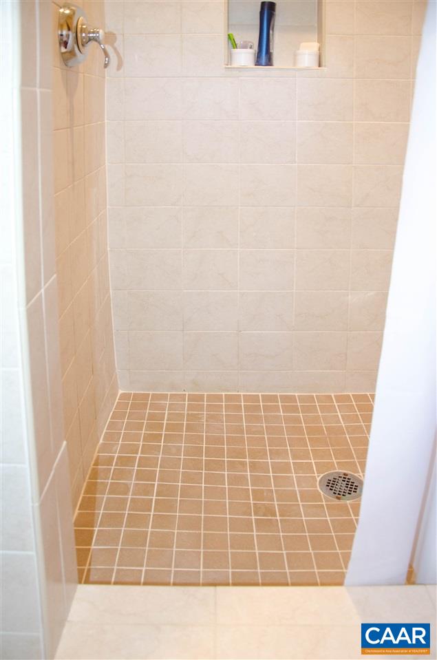 136 Fishpond Road Howardsville, VA 24562 - Photo 37 of 49 a bathroom with a shower