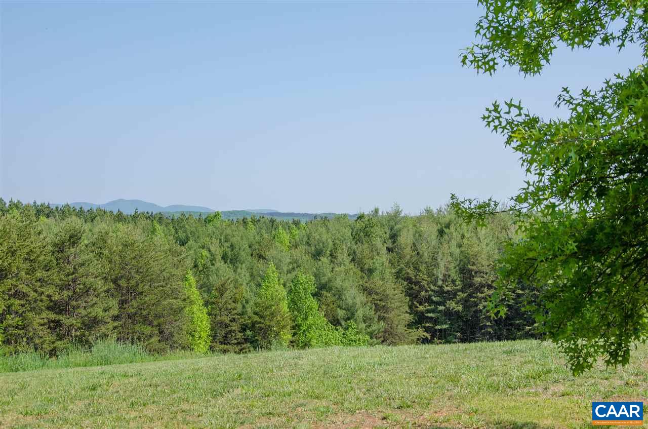 136 Fishpond Road Howardsville, VA 24562 - Photo 44 of 49 a view of a garden