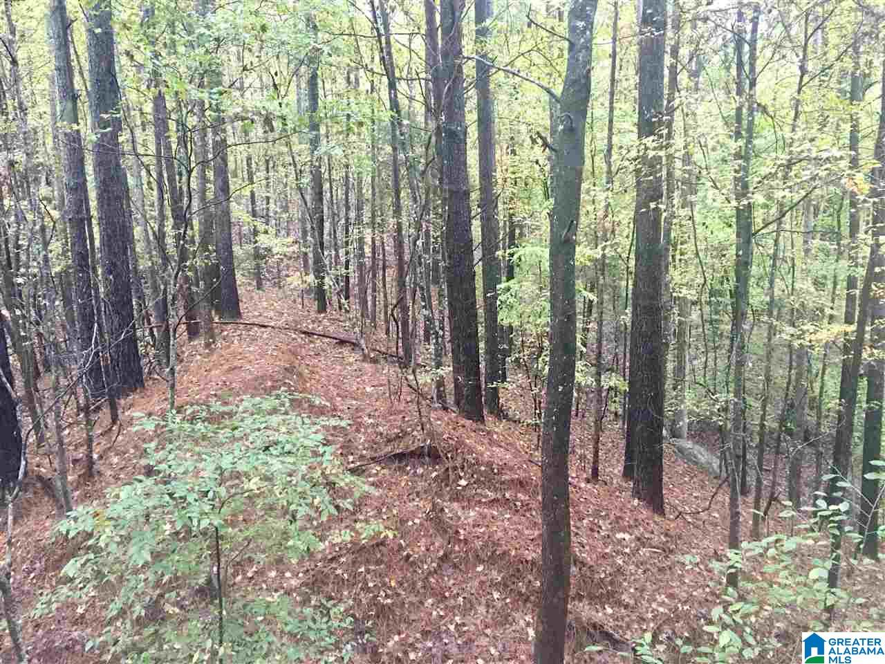 6761 Highway 10 Montevallo, AL 35115 - Photo 37 of 45