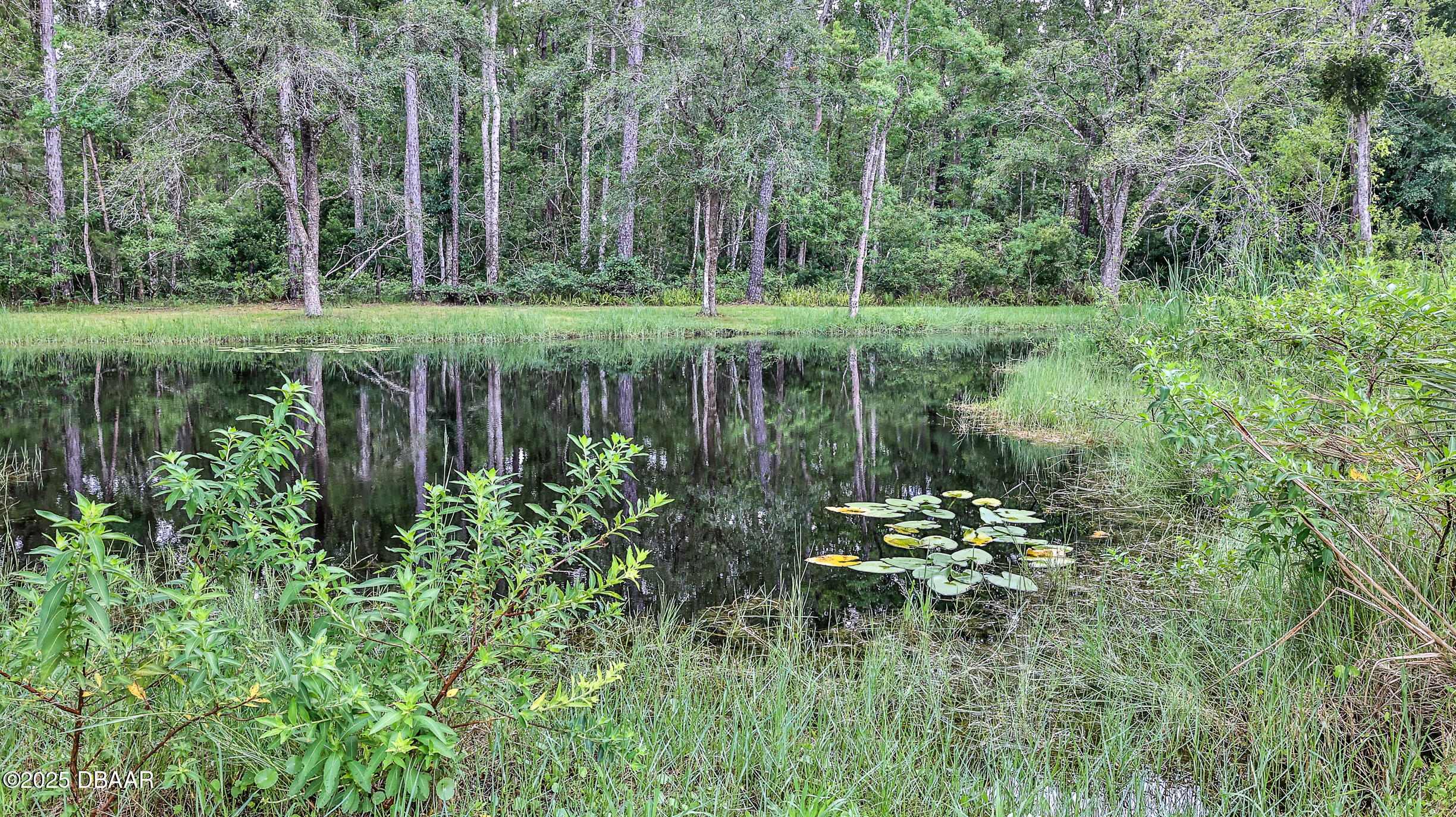 103 Cone Road Ormond Beach, FL 32174 - Photo 48 of 55 Pond