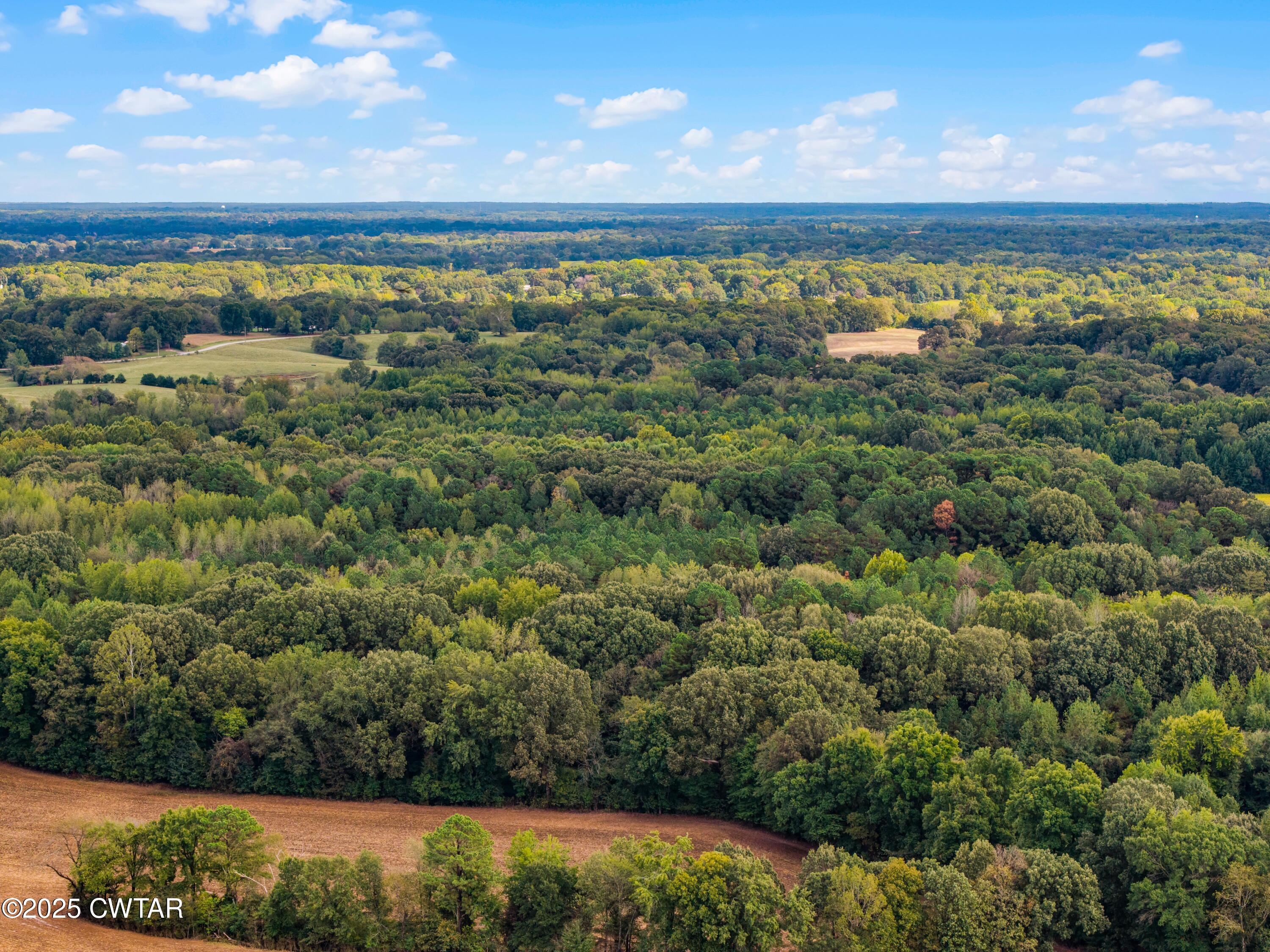 0 Harpers Chapel Road Trenton, TN 38382 - Photo 4 of 11 a view of a city with an ocean