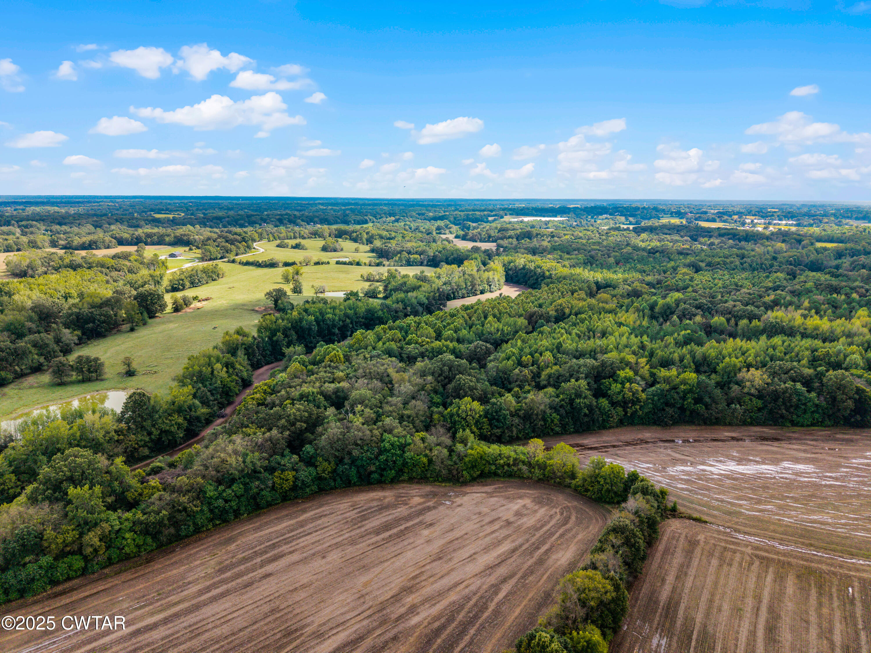 0 Harpers Chapel Road Trenton, TN 38382 - Photo 6 of 11 a view of outdoor space and yard